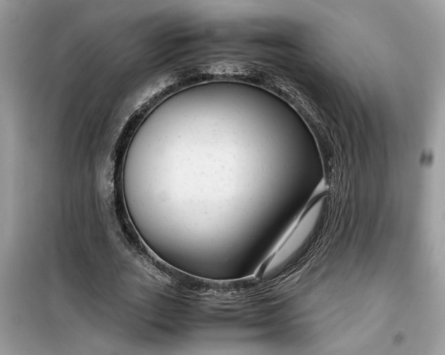 X0000099490727200805291106