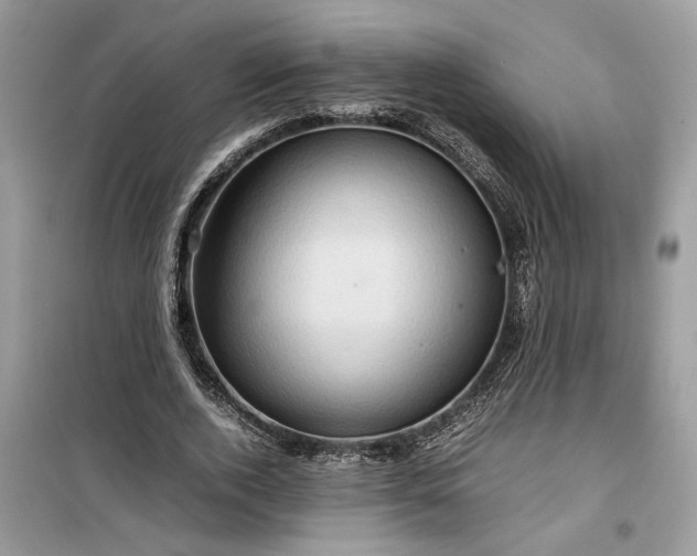 X0000099490728200805291106