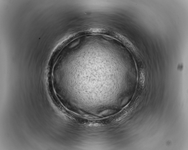 X0000099490730200805291106