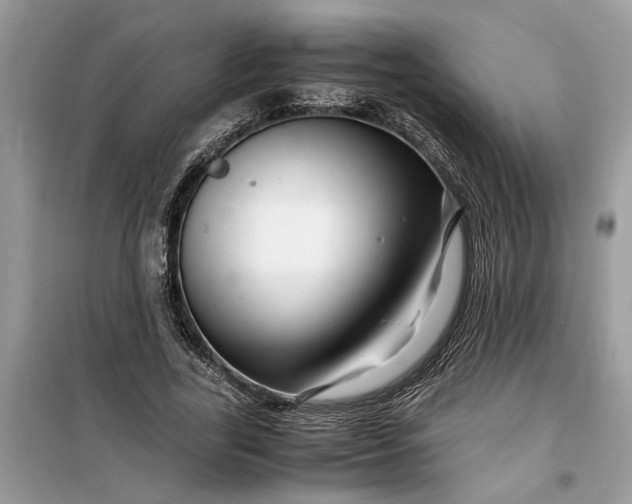 X0000099490731200805291106