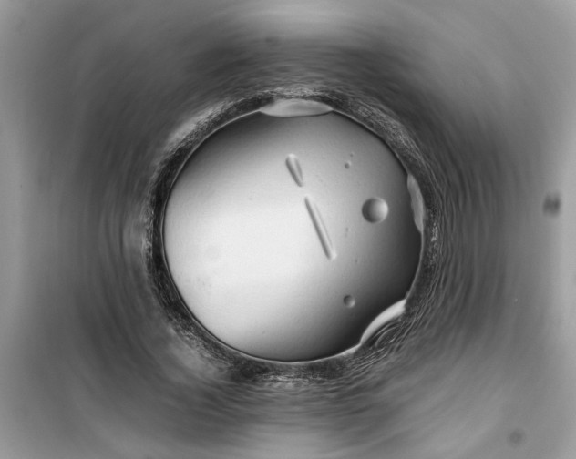 X0000099490732200805291106