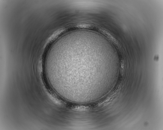 X0000099490734200805291106