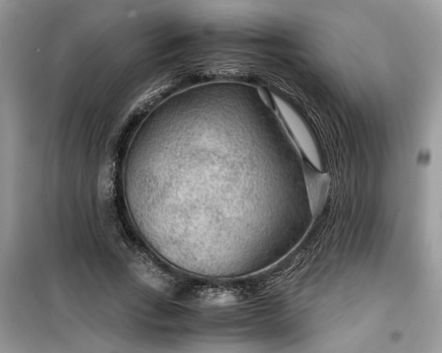 X0000099490735200805291106