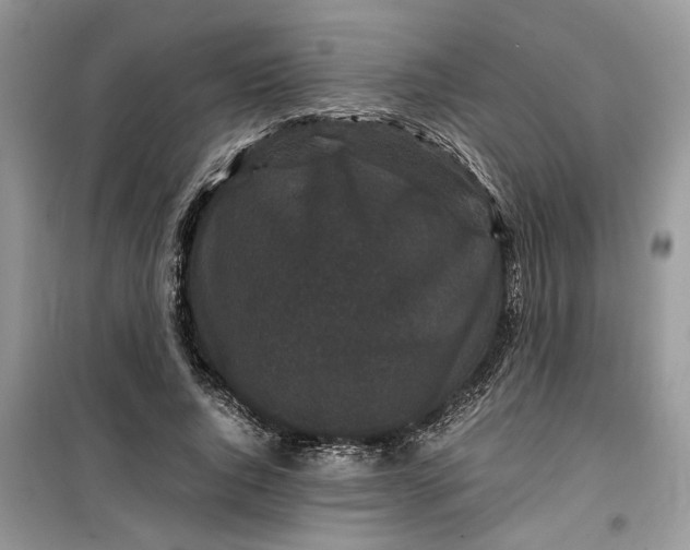 X0000099490736200805291106