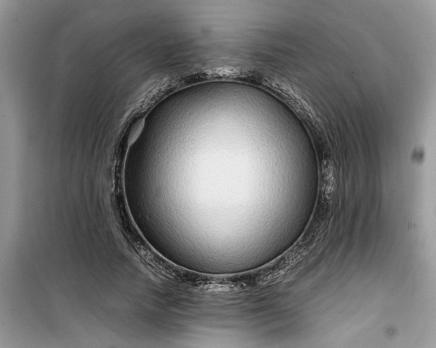 X0000099490738200805291106