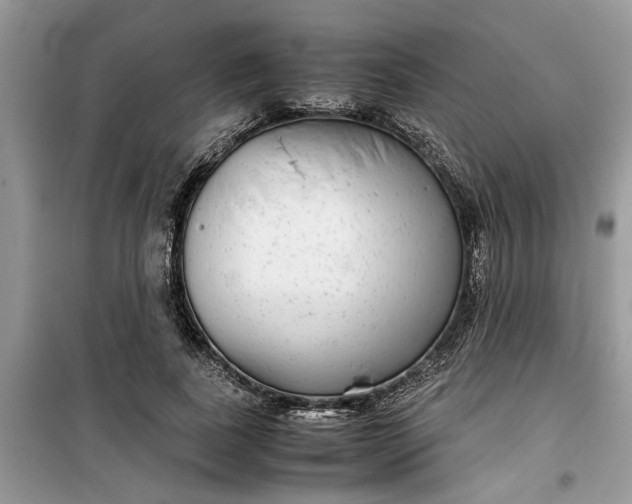 X0000099490739200805291106