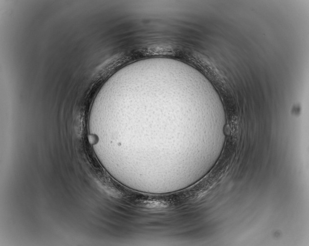 X0000099490741200805291106