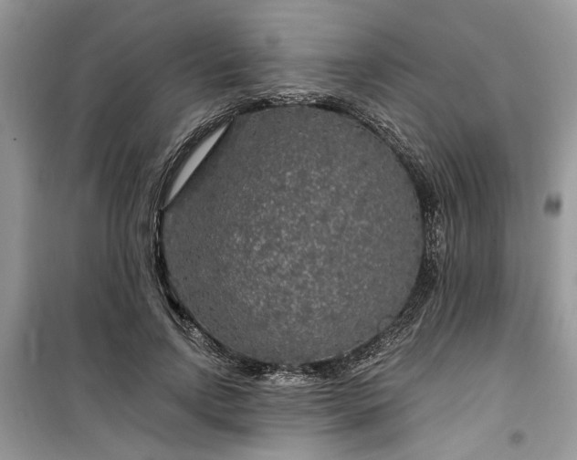 X0000099490742200805291106