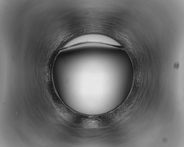 X0000099490743200805291106