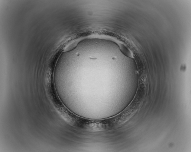 X0000099490744200805291106