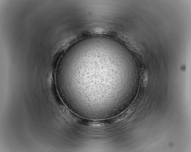 X0000099490746200805291106