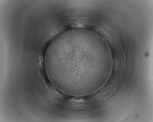 X0000099490747200805291106