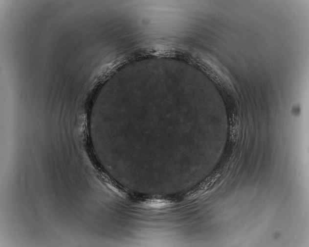 X0000099490748200805291106