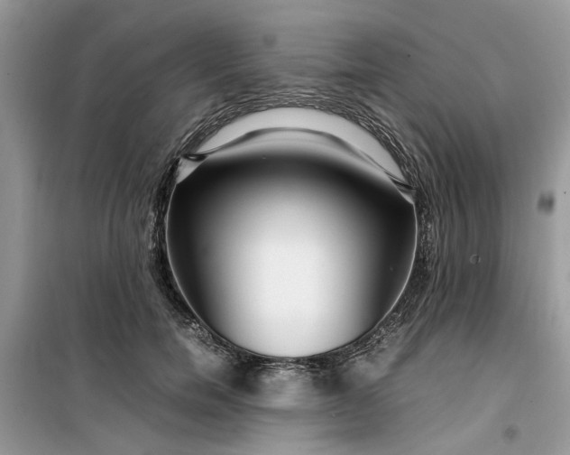 X0000099490750200805291106