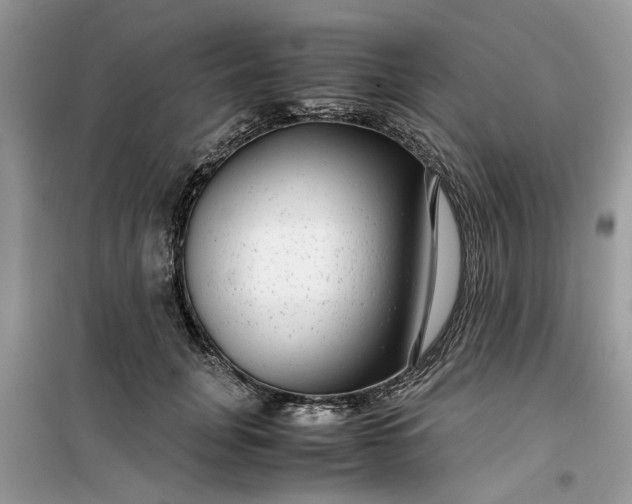 X0000099490751200805291106