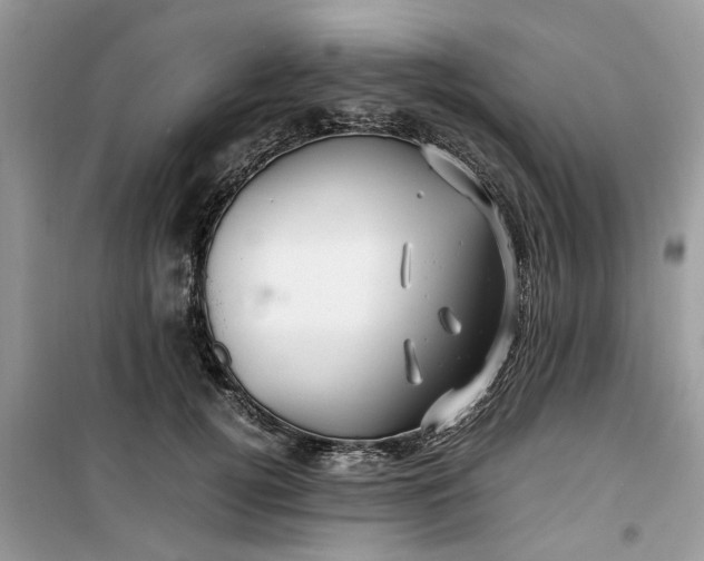 X0000099490752200805291106