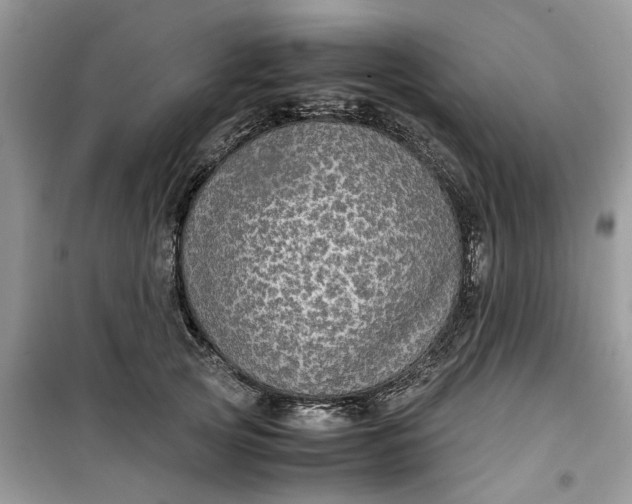 X0000099490753200805291106