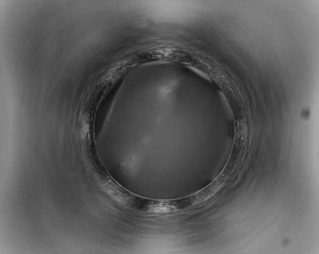 X0000099490754200805291106