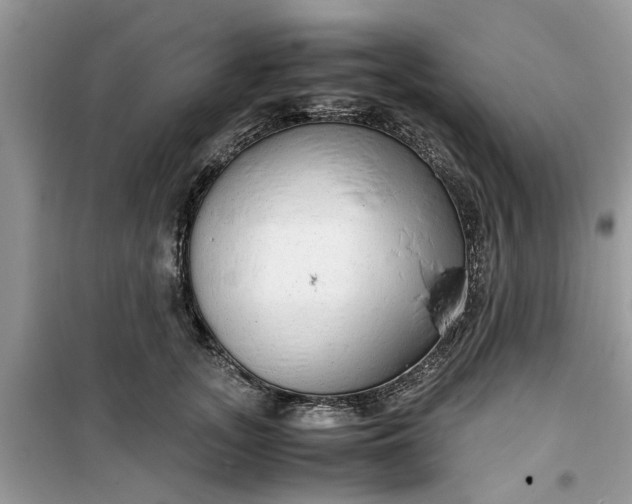 X0000099490755200805291106