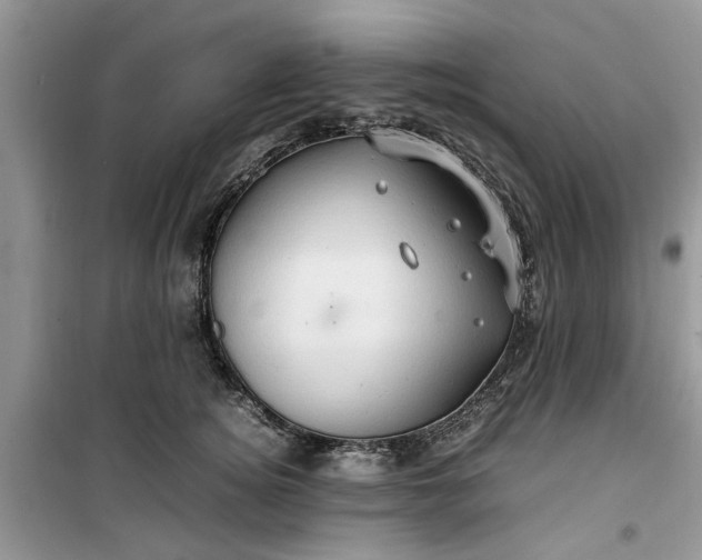 X0000099490756200805291106