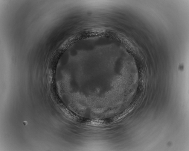 X0000099490758200805291106