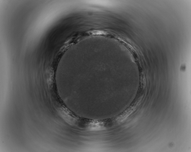 X0000099490760200805291107