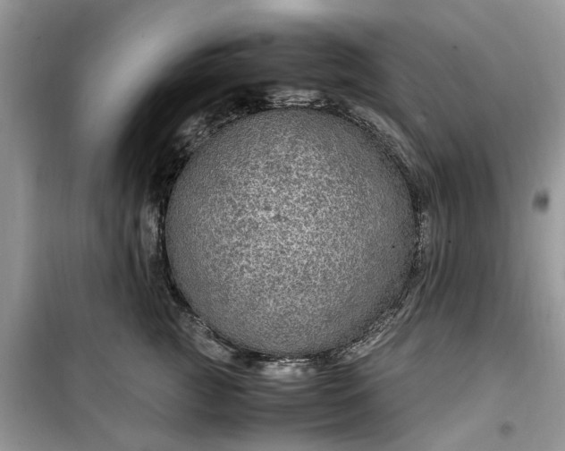 X0000099490761200805291107