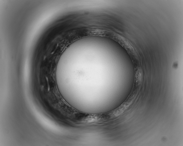 X0000099490764200805291107