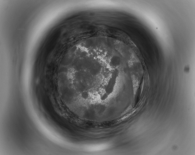 X0000099490765200805291107