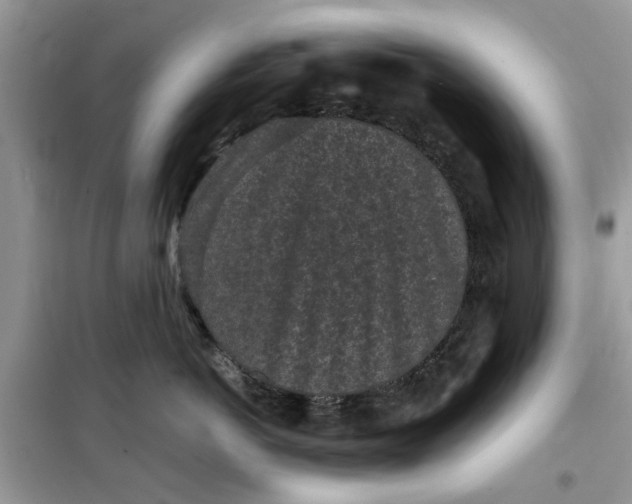 X0000099490766200805291107