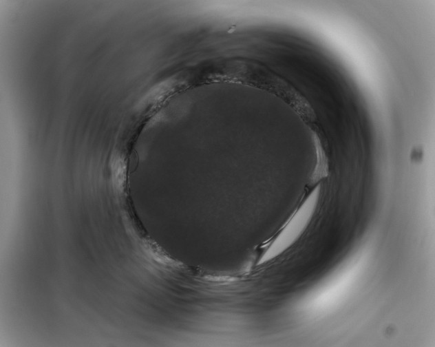 X0000099490767200805291107