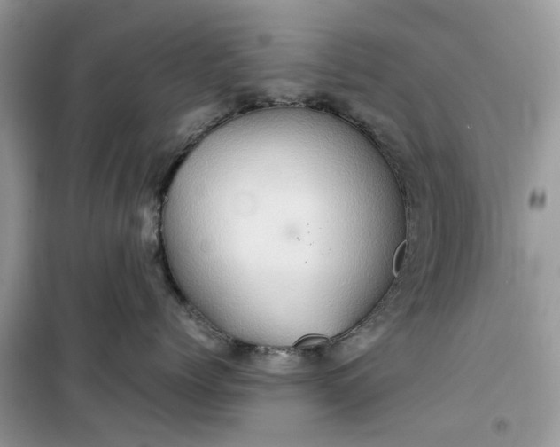 X0000099490768200805291107