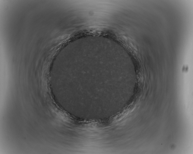 X0000099490769200805291106