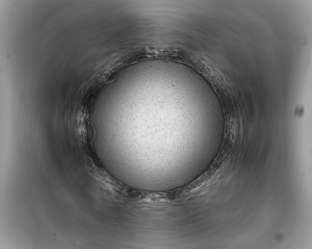 X0000099490770200805291106