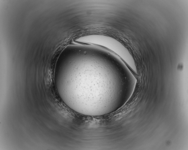 X0000099490772200805291106