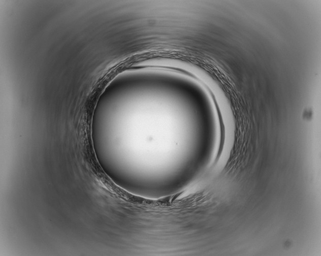 X0000099490773200805291106