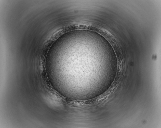 X0000099490774200805291106