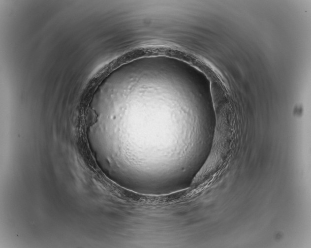 X0000099490775200805291106