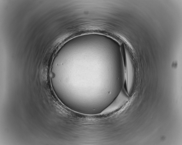 X0000099490777200805291106