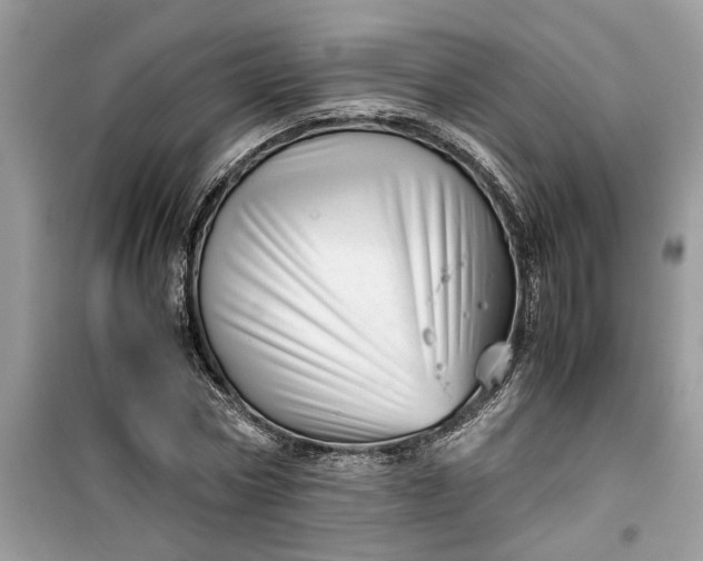 X0000099490778200805291106