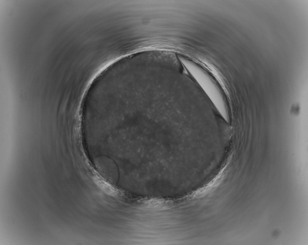 X0000099490779200805291106