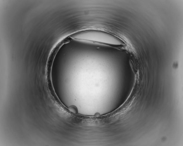 X0000099490780200805291106