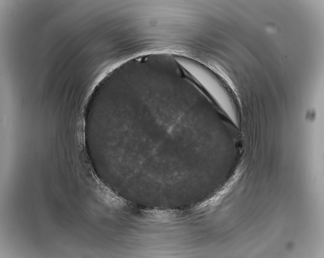 X0000099490781200805291106