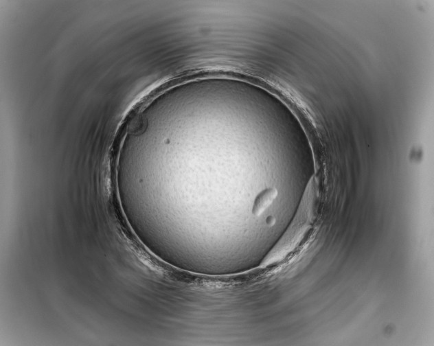 X0000099490782200805291106