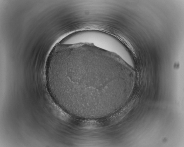 X0000099490784200805291106