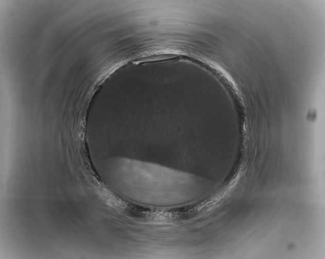 X0000099490785200805291106