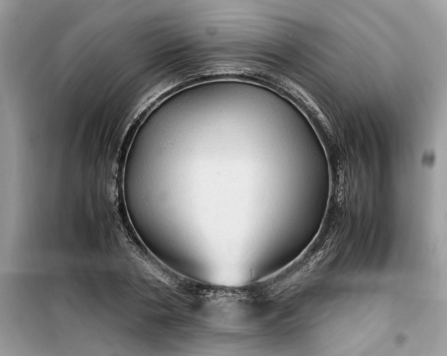 X0000099490786200805291106