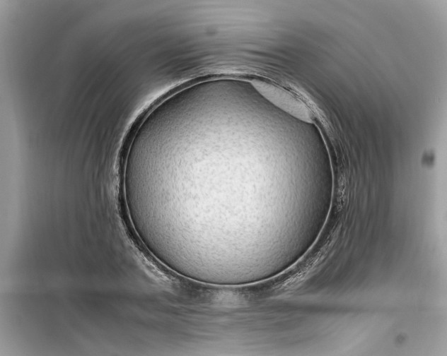 X0000099490787200805291106