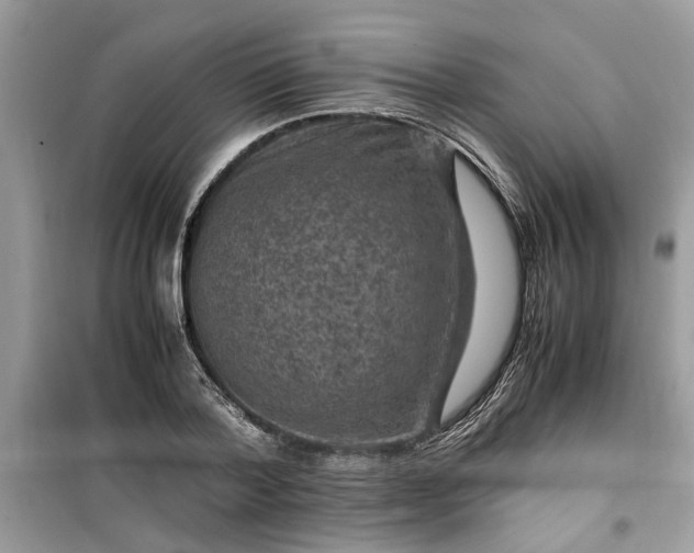 X0000099490788200805291106