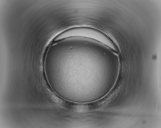 X0000099490789200805291106